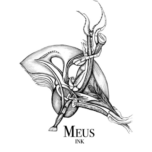 Untitled   9 April 2025 20 43 02 Thumbnail